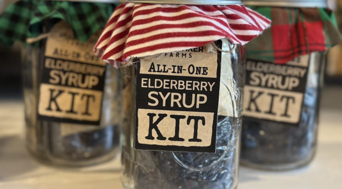 Top 5 Natural & Non-Toxic Holiday Gifts Under $30